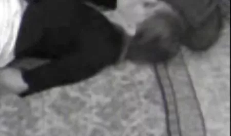 Масаж номери великі натуральні грудей з жосткий трах в попу Лайєлла, Грузія